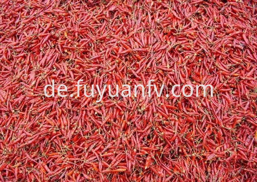 Chaotian Red Chili